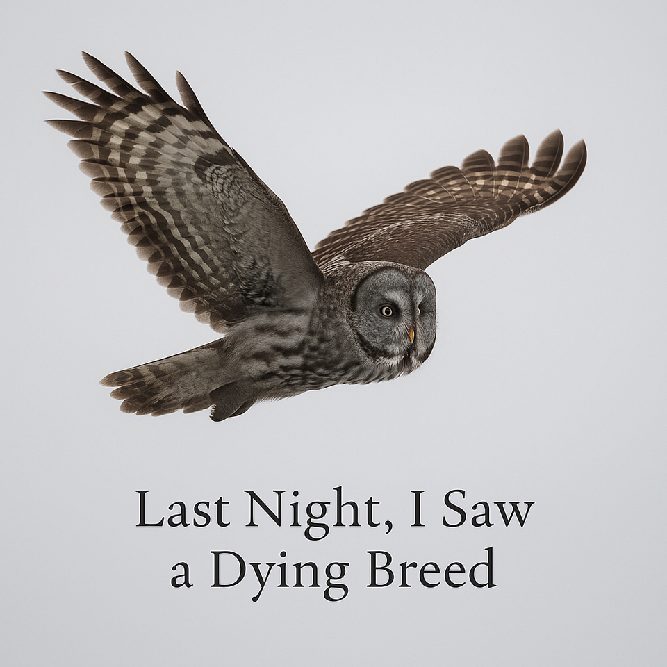Last Night, I Saw a Dying Breed